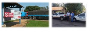 vazio-do-algodao-iagro