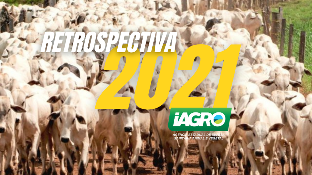 Retrospectiva Iagro 2021