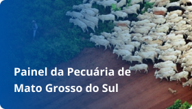banner painel da pecuária de mato grosso do sul.