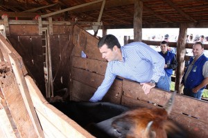 Diretor Presidente da IAGRO, Luciano Chiochetta aplica a 1a dose durante o evento