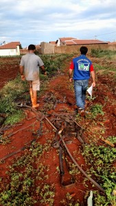 Equipe da Iagro realizando o trabalho de levantamento de dados em horta de Campo Grande