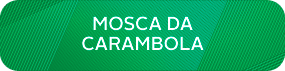 Mosca da Carambola.